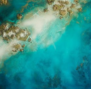 Petra Meikle de Vlas