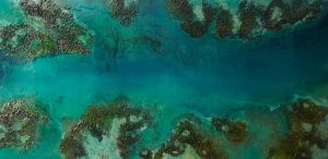 Petra Meikle de Vlas artist