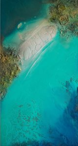 Petra Meikle de Vlas Artist