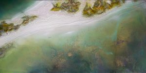 Petra Meikle De Vlas