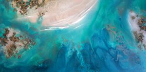 Petra Meikle de Vlas