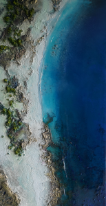 Petra Meikle De Vlas