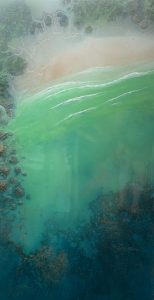 Petra Meikle De Vlas