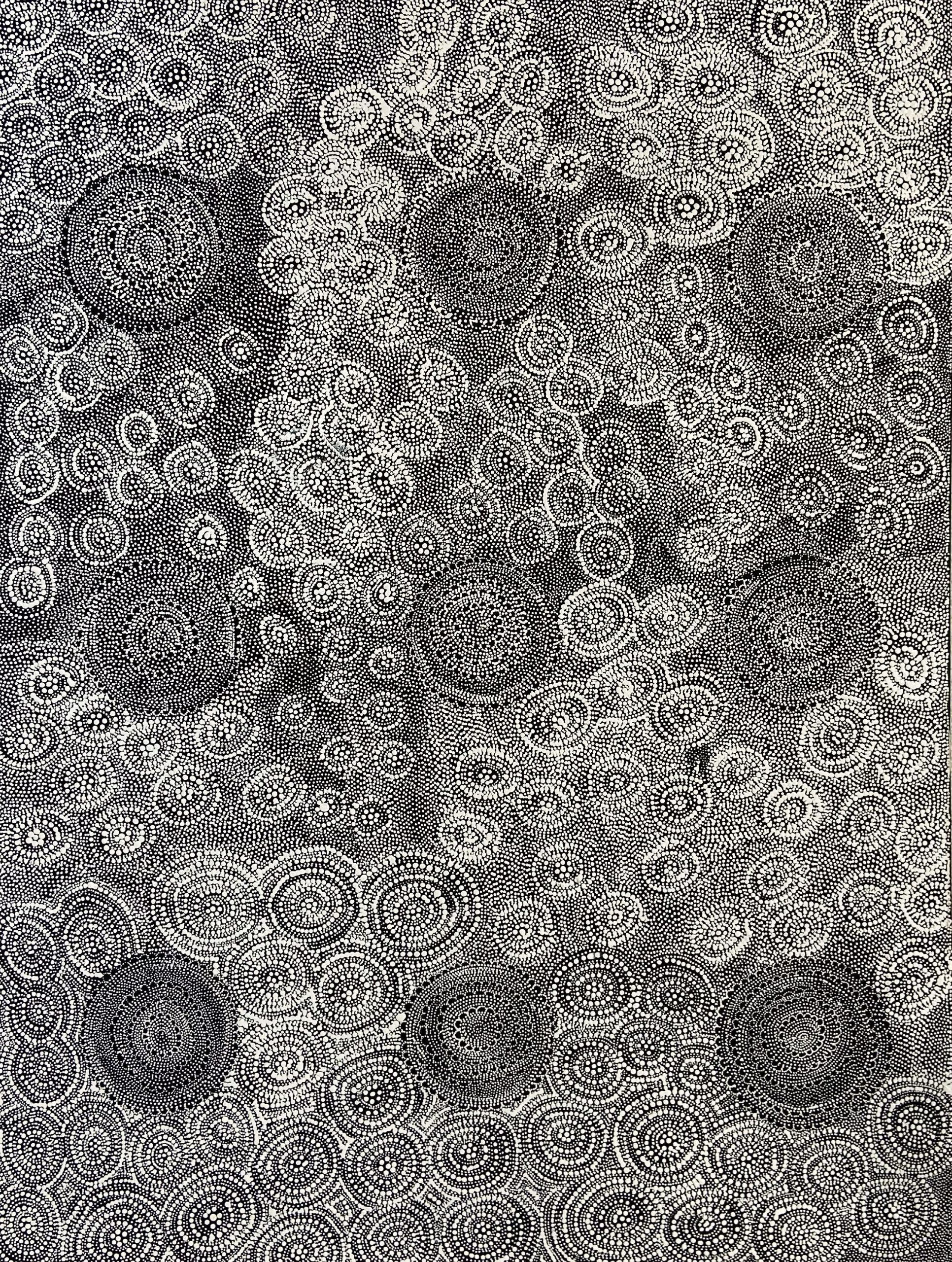 Lola Nampitjinpa Brown