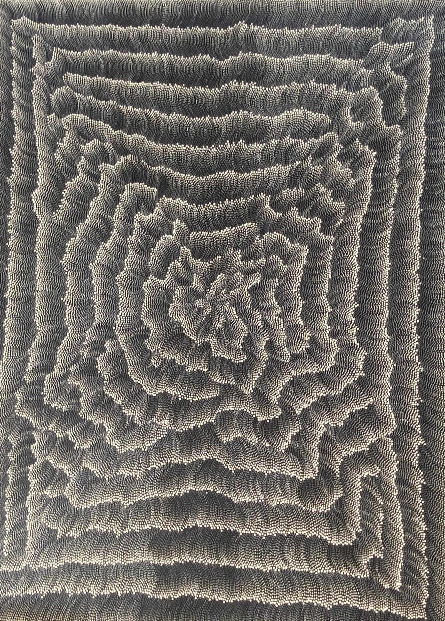 Denise Johnson Napanangka