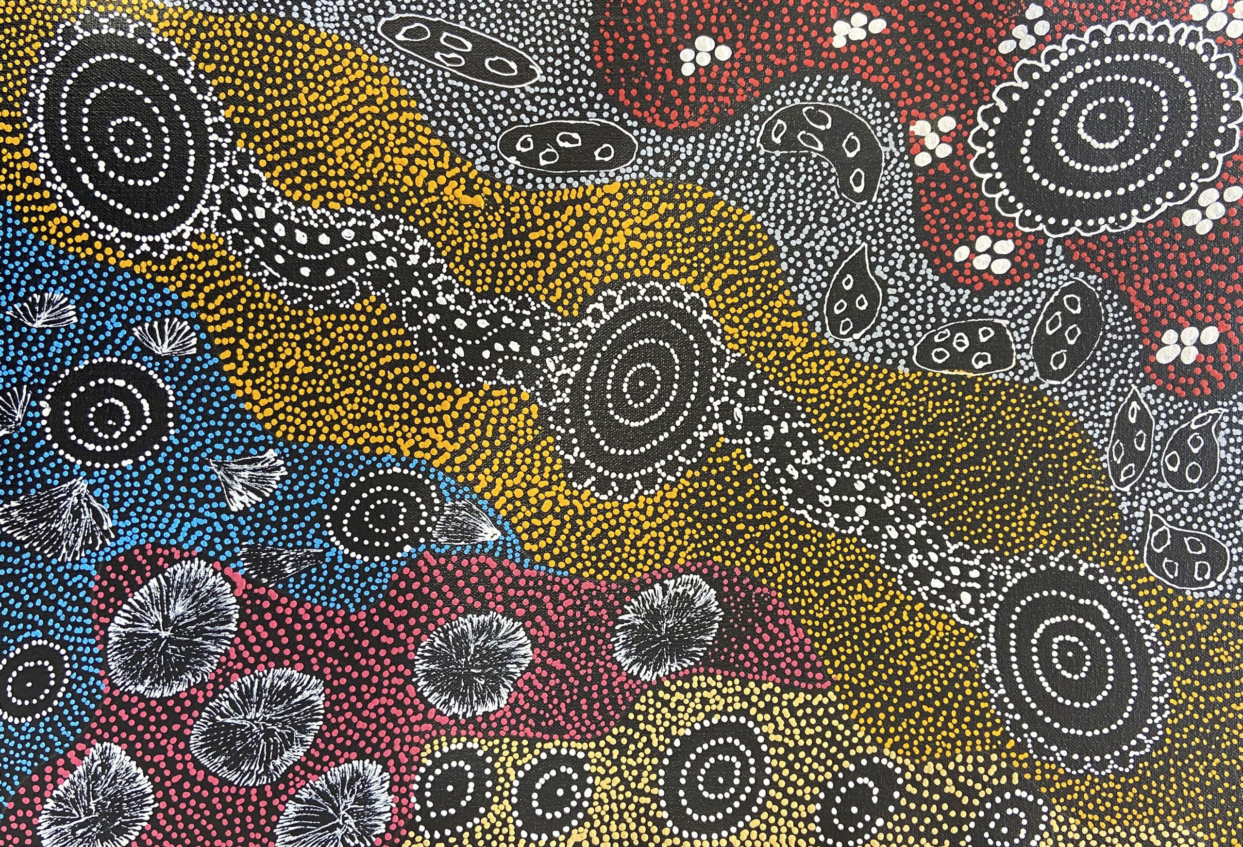 Lola Nampitjinpa Brown